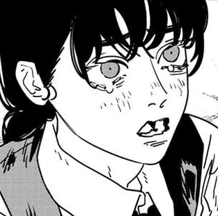 Chainsaw Man Manga Chapter 219 (The Bereft) cover