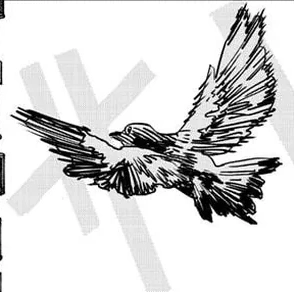 Chainsaw Man Manga Chapter 228 (Dove) cover